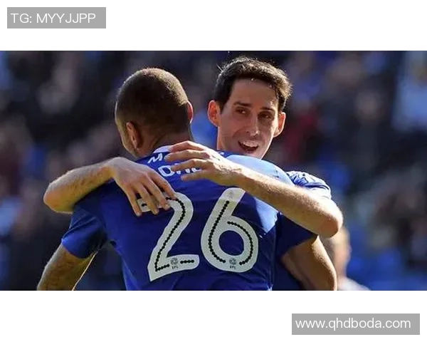 北单推荐布伦特福德对阵卡迪夫城赛事分析与投注建议 北单推荐布伦特福德对阵卡迪夫城赛事分析与投注建议